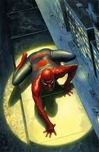 Alex Ross Alex Ross The Spectacular Spider-Man